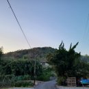 명성 생오리 가든 이미지