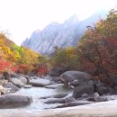 금강산사우나 이미지