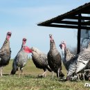 만회농장 이미지