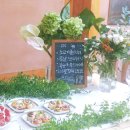 케이팜스타 이미지