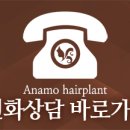 아나모헤어플란트의원 이미지