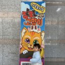 부산광역시 기장군청 주차장 이미지