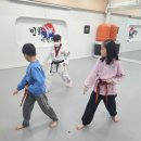 인화태권도장 이미지