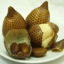 열대과일 `살락 (Salak, Snake Fruit)` 이미지