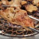 포레스트(FOREST)389 이미지