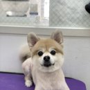 라미살롱 이미지