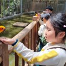 부남초등학교 이미지