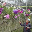 종난농장 이미지