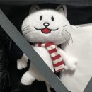 대일가라오케 | 오로지 콘서트가 목적인 후쿠오카 여행