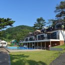 소나무농원 캠핑장 이미지