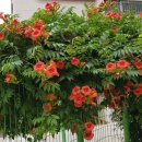 새라새요양병원 이미지