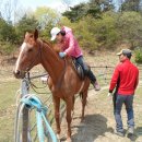 장수원목장 이미지