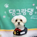 댕그랑댕 이미지