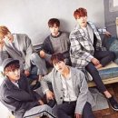 백퍼센트 티스토리