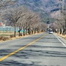 인의세탁소 이미지