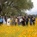 자연의숨결 이미지