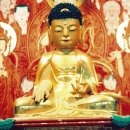 상주 상락사 대웅전 목조석가여래좌상 | 경상북도 문화재자료 제536호 상주 상락사 대웅전 목조석가여래좌상 (尙州 常樂寺 大雄殿 木造釋迦如來...