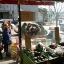 와 싸다 장터 이미지