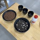 자연애쭈꾸미 | 충주 가볼만한곳 충주유기농체험교육센터 자연애수라간 충주 샤브샤브와 쭈꾸미볶음 정식 !