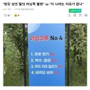 한강 상의 탈의 러닝족 논란. 이미지