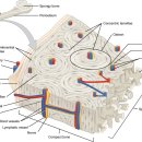 보인한의원 이미지