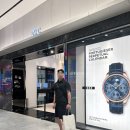 324008 | IWC파일럿 워치 오토매틱 36 착용 후기