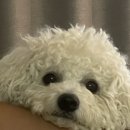 광주온누리약국 이미지