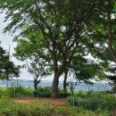 그늘막12 이미지