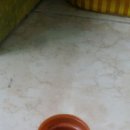 은비식당 - 충주시 | 은비식당