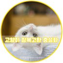 어울림동물메디컬센터 이미지