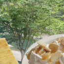 벌곡보건지소 이미지