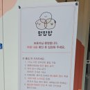 멍집합 | [원주 소초면] 넓은 수영장이 인상적인 애견카페 "멍집합"