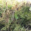 한배미농장 이미지