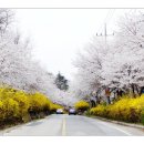 대청호반 이미지