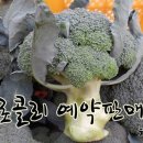 천하농장 이미지