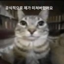 세상사이로 네이버블로그