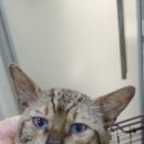 농협 앞 이미지