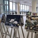 사진전시회 이미지