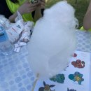 NR-5[경북대로]-하-366 | [2022:05:17 - 24] 이것저것의 일주일입니다 😍