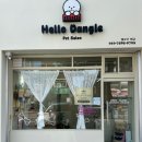 헬로우 댕글 이미지