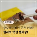 대신카인테리어 | 부산송도해수욕장카페 젤라또 맛집 젤라송 포장후기