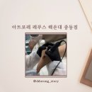 레푸스&아트포레 | 아트포레 레푸스 해운대중동점 발 관리 받은 후기