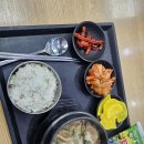 부산 용당 화물차 휴게소(용당내트럭) | 부산에서 경기도안산으로 왕복 800KM의 여정 차량매입후기 전국어디든 차량매입하러 다갑니다