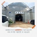 가야농장 | 경기도 파주 아기랑 갈만한 곳 나눔농장 솔직후기