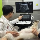 서신동물병원 이미지