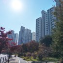 해솔중학교 맞은편 이미지