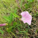 우리누리청소년문화센터 도서관 이미지