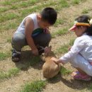 장선마을 이미지