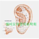 셀비오두피탈모&건강 네이버블로그