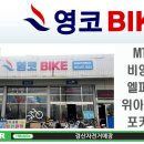 영코바이크 이미지